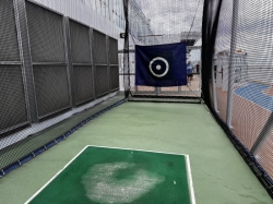Norwegian Dawn Golf Driving Nets picture