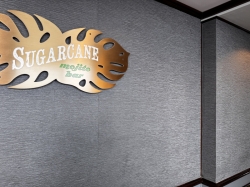Norwegian Dawn Sugarcane Mojito Bar picture