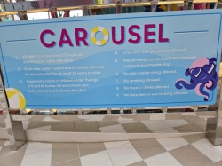 Star of the Seas Surf Side picture Uploaded in 2025 Photo courtesy of Kim Neff. Star of the Seas Surf Side picture