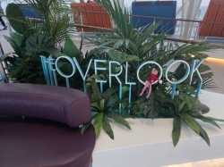 Overlook Lounge picture