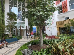 Star of the Seas Central Park picture