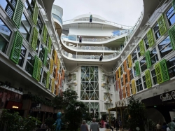 Star of the Seas Central Park picture