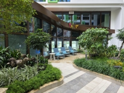 Star of the Seas Central Park picture