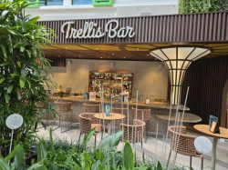 Star of the Seas Trellis Bar picture