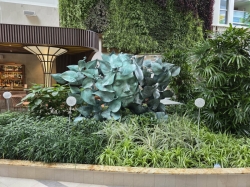 Star of the Seas Central Park picture