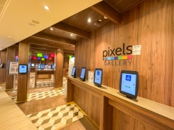 Carnival Firenze Pixels Photo Gallery picture