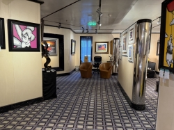 The Collection picture