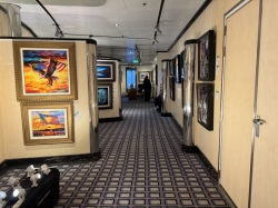 The Collection picture