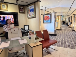 The Collection picture