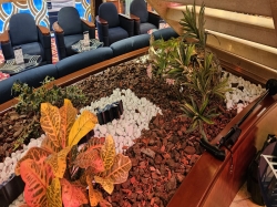 MSC Orchestra Atrium picture