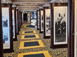 MSC Orchestra Photo Gallery & Shop picture