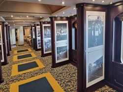 MSC Orchestra Photo Gallery & Shop picture