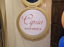 MSC Orchestra Cipria picture