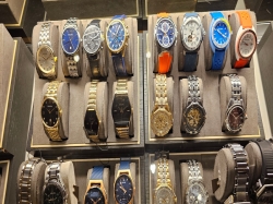 MSC Orchestra Lo Zaffiro picture