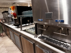 Norwegian Dawn Garden Cafe picture
