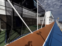 Norwegian Dawn Golf Driving Nets picture