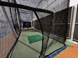 Norwegian Dawn Golf Driving Nets picture