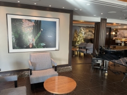 Sky Princess Crown Grill Bar picture