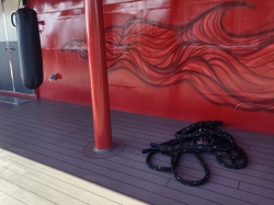 Training Camp picture Training Camp picture