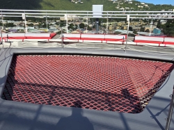 Brilliant Lady The Net picture