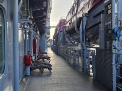 Brilliant Lady Promenade picture