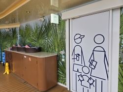 Icon of the Seas Hideaway Pool picture