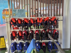 Icon of the Seas Cove Pool picture