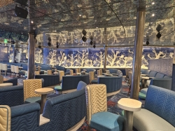 MAS Islander Coral Reef Lounge picture