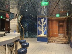 MAS Islander Coral Reef Lounge picture