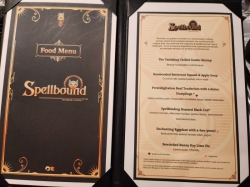 Sun Princess Spell Bound picture