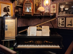 Sun Princess Spell Bound picture