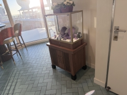 Disney Magic Concierge Lounge picture