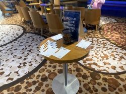 Disney Magic D Lounge picture