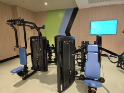 Icon of the Seas Fitness Center picture