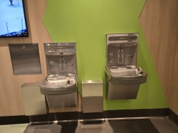 Icon of the Seas Fitness Center picture