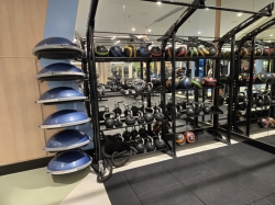 Icon of the Seas Fitness Center picture