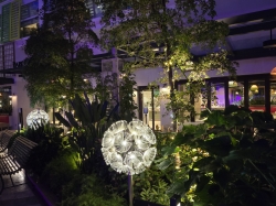 Icon of the Seas Central Park picture