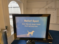 Icon of the Seas Running Track picture