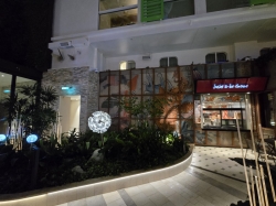 Icon of the Seas Izumi in the Park picture