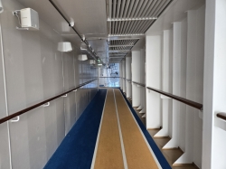 Icon of the Seas Running Track picture