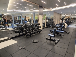 Icon of the Seas Fitness Center picture