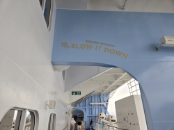 Icon of the Seas Running Track picture