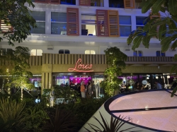 Icon of the Seas Central Park picture