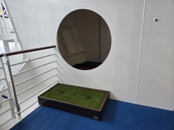 Icon of the Seas Running Track picture