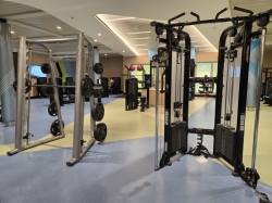 Icon of the Seas Fitness Center picture