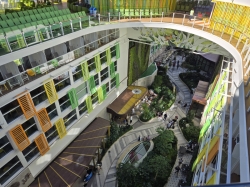 Icon of the Seas Central Park picture