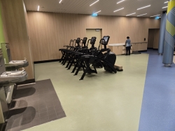 Icon of the Seas Fitness Center picture