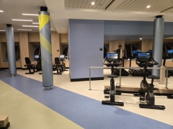 Icon of the Seas Fitness Center picture