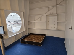 Icon of the Seas Running Track picture