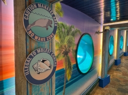 MAS Islander A1A picture